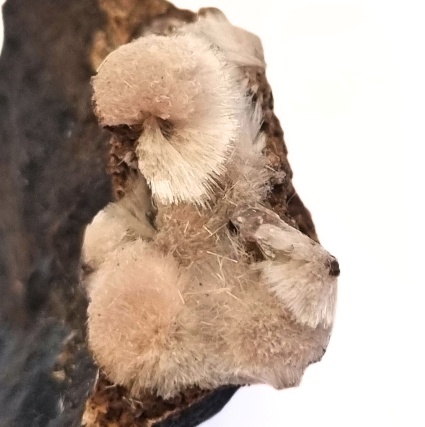 mineral collectors south africa,mineral shop south africa,mystic crystals,metaphysical crystals,adamite,gemstones south africa,minerals,minerals south africa